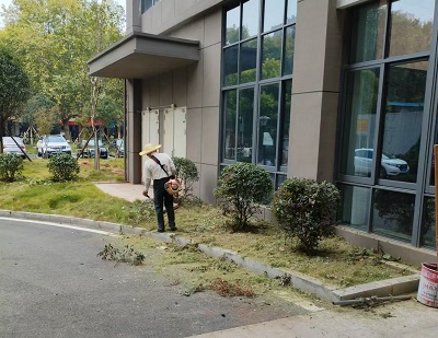 園林養護